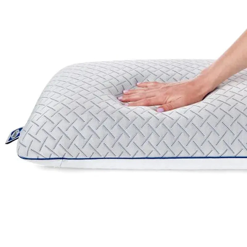 Sealy® Cool Touch Memory Foam Pillow