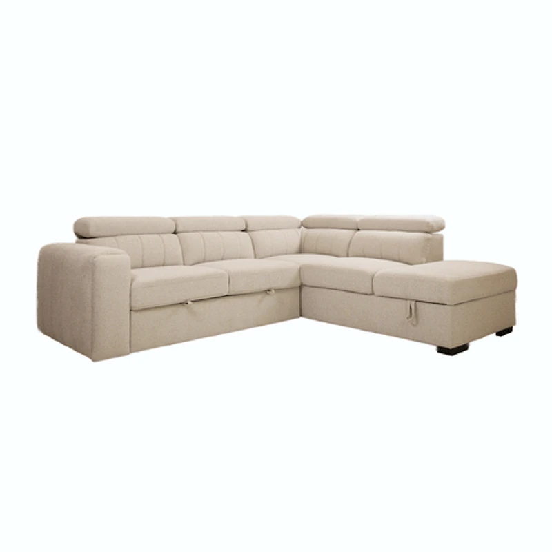 Arlo Sleeper Sectional with Storage Ottoman