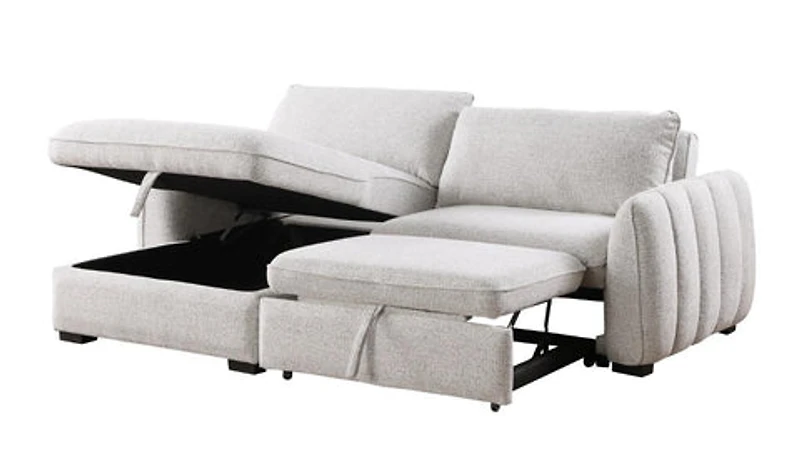 Cassey Pullout Sleeper Sectional with Storage Chaise - Light Grey