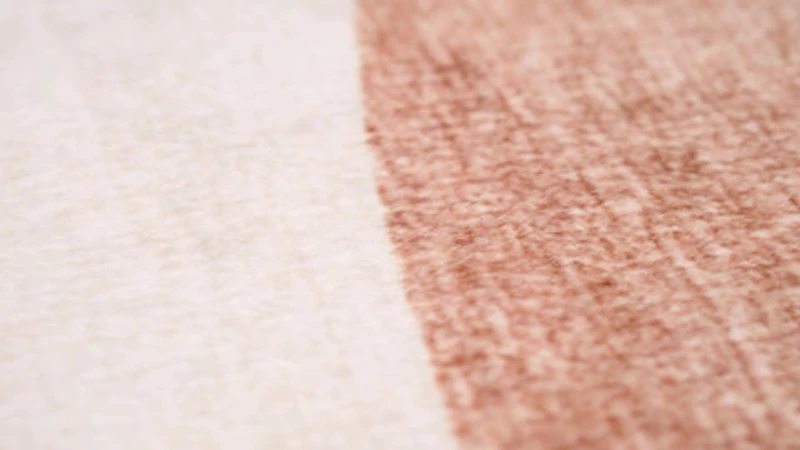 Europa Multi-Color Modern Art Rug