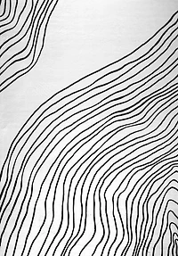 Europa Black Contemporary Rug with Neutral Accents