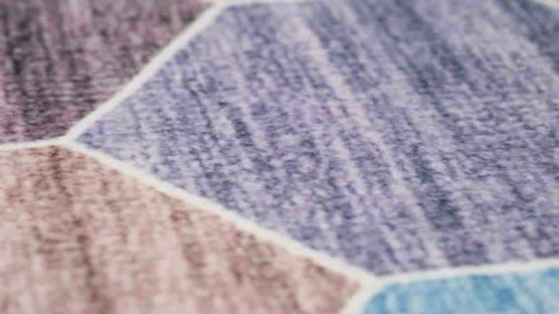 Europa Multi-Toned Modern Distressed Rug