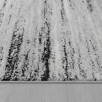 Hamilton Black Ornate Traditional Area Rug