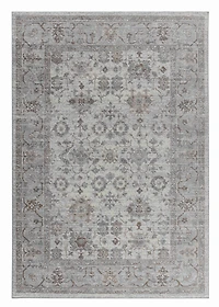 Hamilton Cream Ornamental Floral Area Rug