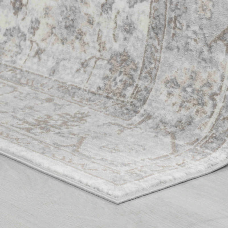 Hamilton Cream Ornamental Floral Area Rug