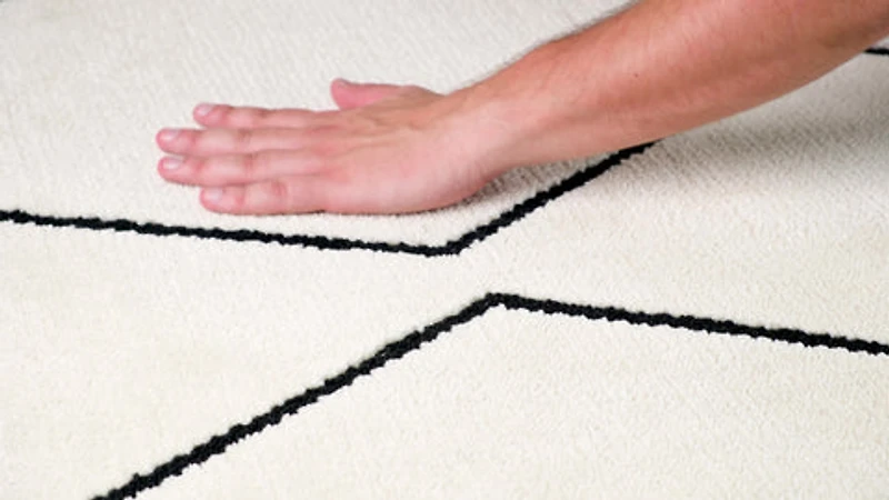 Ivory Leela Minimalist Brushstroke Area Rug