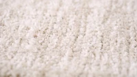 Beige Soft Texture Area Rug