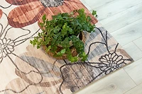 Lily Cream Elegant Vintage-Inspired Rug