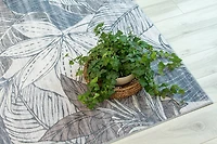 Lily Grey Traditional Distressed Floral Rug