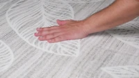 Royal Cream: Ornate Scroll Elegance Rug