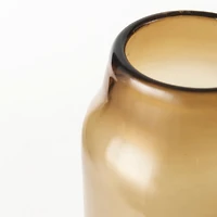 Amrita 4.8L x 4.8W x 16.0H Golden Brown Glass Vase