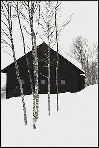 Whistler Set of 5 Alloy Matt - Black Frame Wall Art