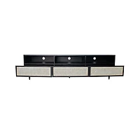 Cane Media Unit