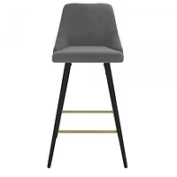 Roxanne II 26'' Counter Stool, set of 2 in Grey