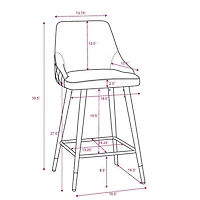 Roxanne II 26'' Counter Stool, set of 2 in Grey