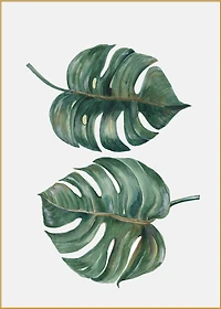 Forest Finds Set of 5 Alloy Matt - Golden Frame Wall Art
