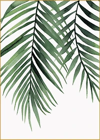 Green Envy Set of 5 Alloy Matt - Golden Frame Wall Art