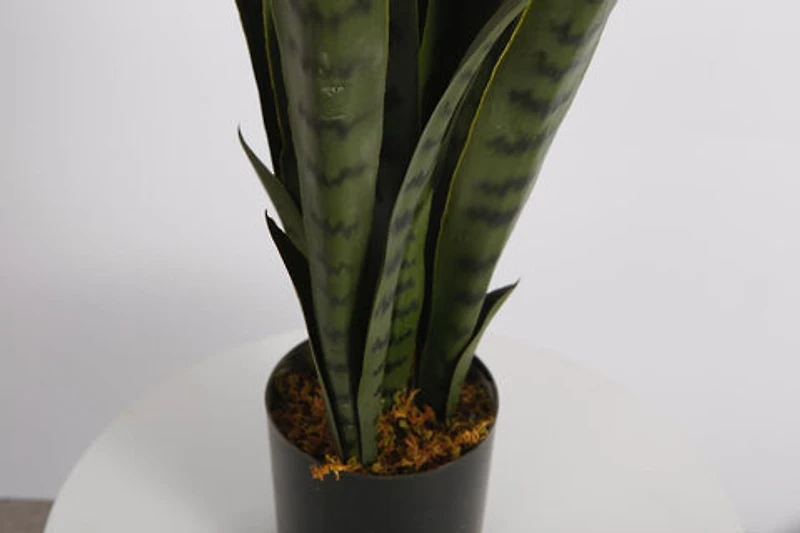 Snake Faux Plant 76cm/ 30"