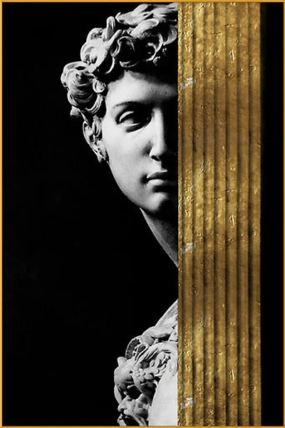 Forum Alloy Matt - Golden Frame Wall Art