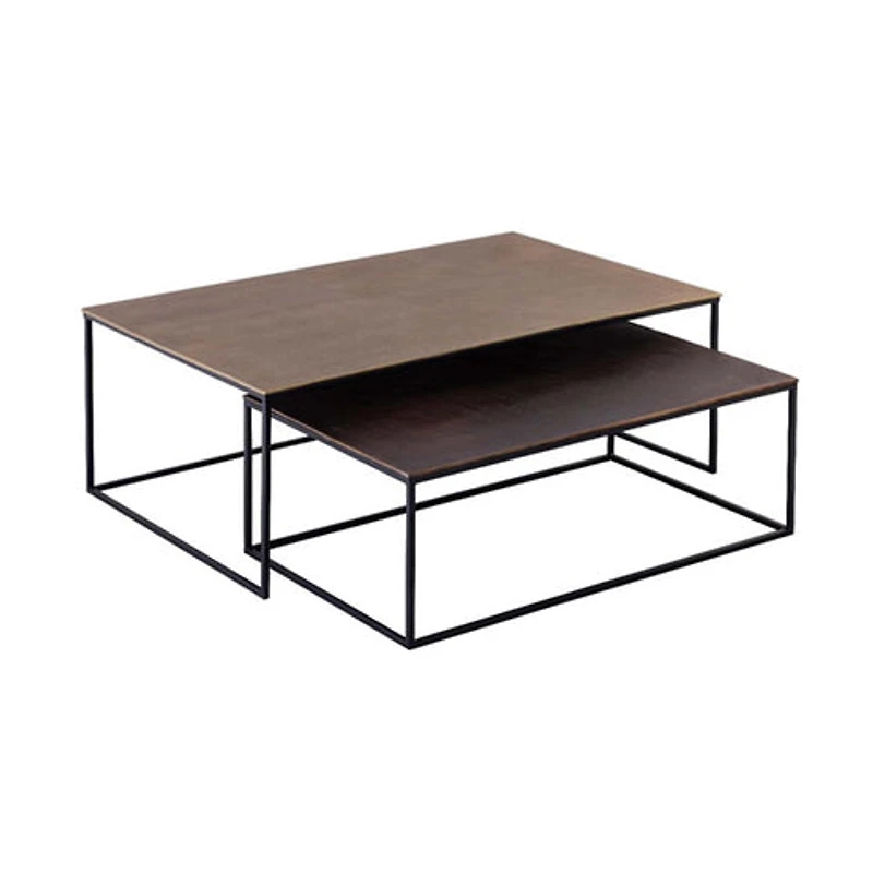 Roche Nesting Coffee Table, Set of 2