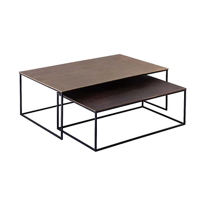 Roche Nesting Coffee Table, Set of 2
