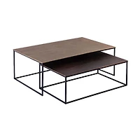 Roche Nesting Coffee Table, Set of 2