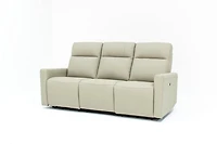 Mitchell Power Recliner Sofa-Tusk