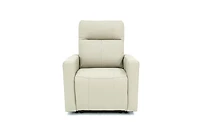Mitchell Power Recliner Chair - Tusk