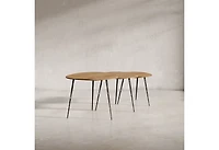 Reeves Nesting Table - Set of 3 - Natural