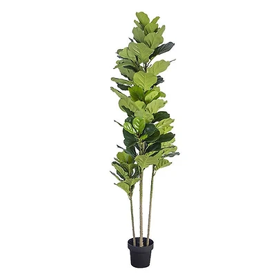 Fiddle Leaf Fig Faux Plant 185cm/ 72.8"