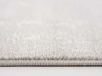 Cate Rug - 209999 Grey