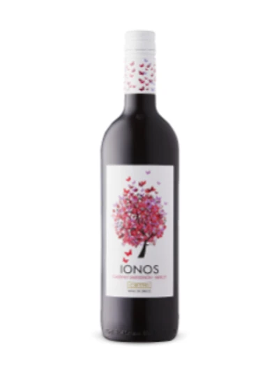 Cavino Ionos 2018
