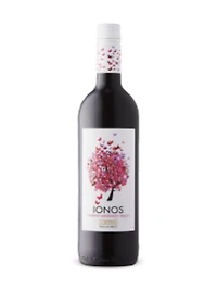 Cavino Ionos 2018