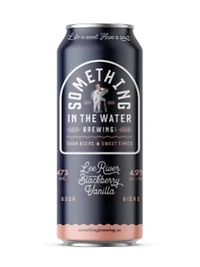 Something In The Water Blackberry Vanilla Sour