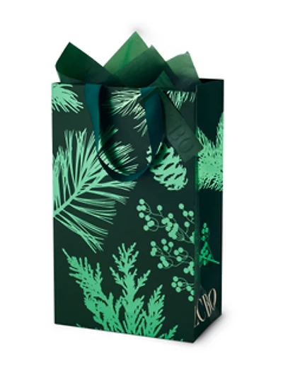 Enhanced 2 Bottle Bag