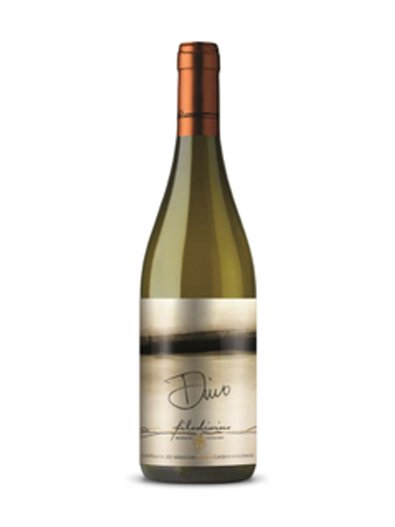 Filodivino Dino Riserva Castelli di Jesi Verdicchio Classico 2020