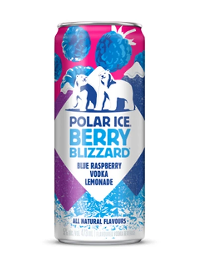 Polar Ice Berry Blizzard
