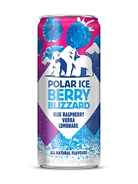Polar Ice Berry Blizzard