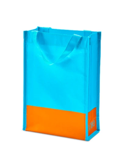 Reusable 2 Bottle Bag