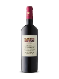 Terredora Di Paolo Corte di Giso Aglianico 2019