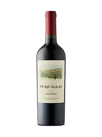 Encierra Puquillay Carmenère