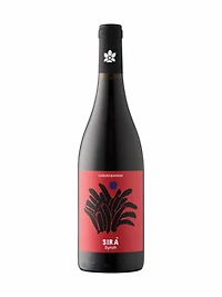 Syrah Siciliane Terre Di Giumara Caruso Min 2023