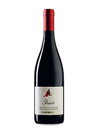 Pineto Brachetto d'Acqui DOCG 2020