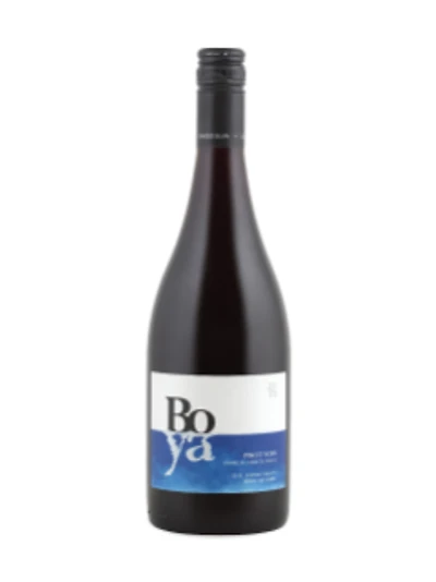 Familia Garcés Silva Boya Pinot Noir 2024