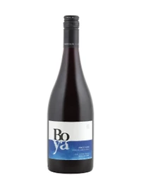 Familia Garcés Silva Boya Pinot Noir 2024