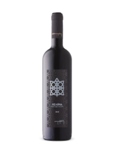 Turtle Red 2018