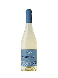 Joao M Barbosa Vinha no Vale Branco 2019