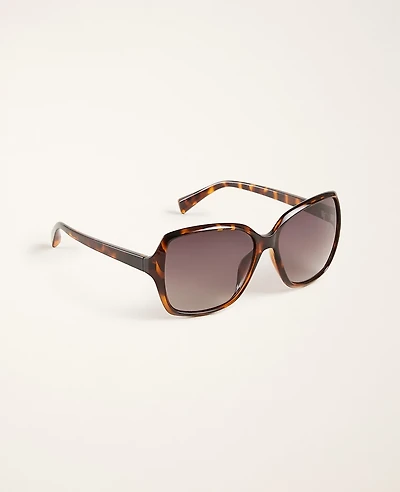 Ann Taylor Square Sunglasses Women's