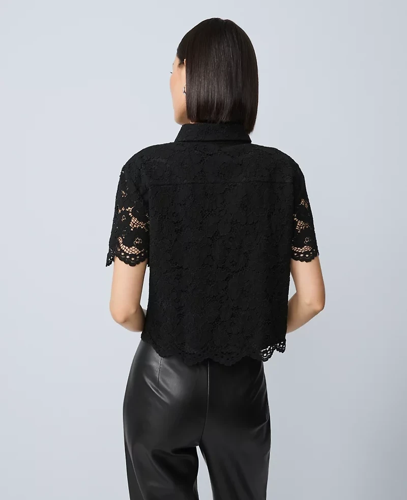 Ann Taylor Lace Modern Blouse Black Women's