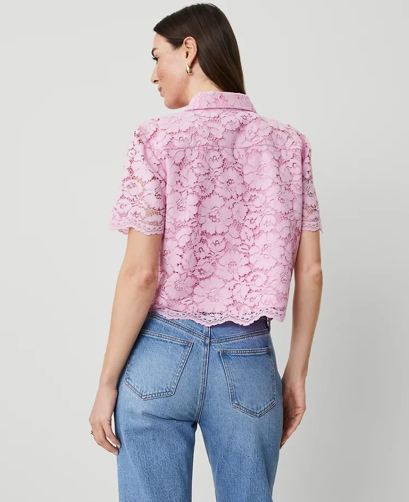 Ann Taylor Lace Modern Blouse Size Medium Pink Hollyhock Women's